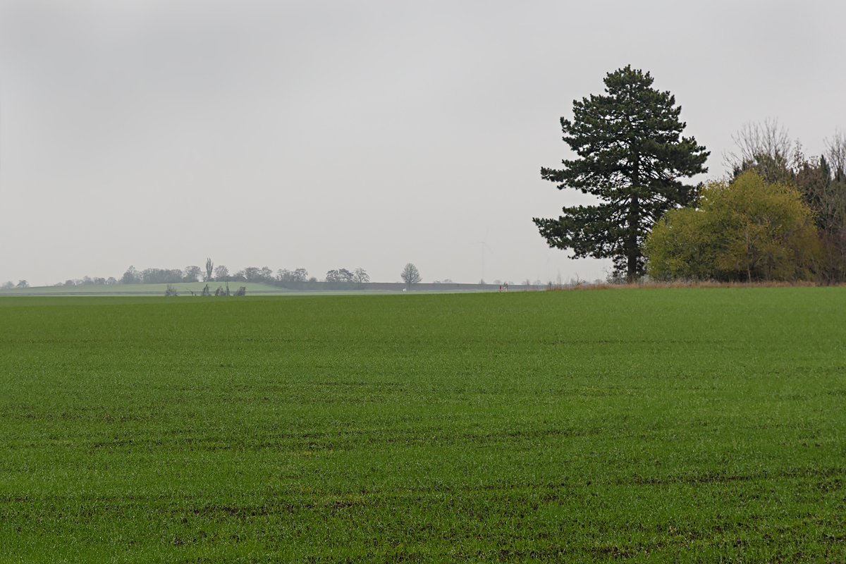 OF2_60941.jpg