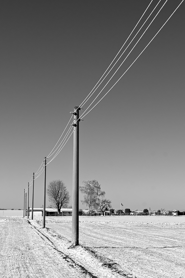 OF2_61102sw.jpg