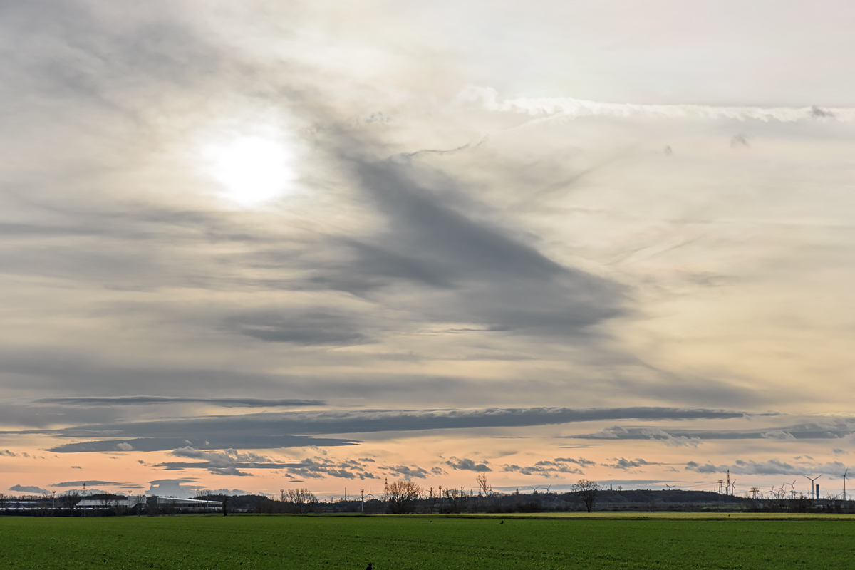 OF2_61540.jpg