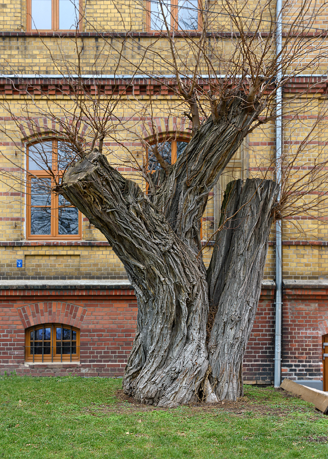 OF2_62073.jpg