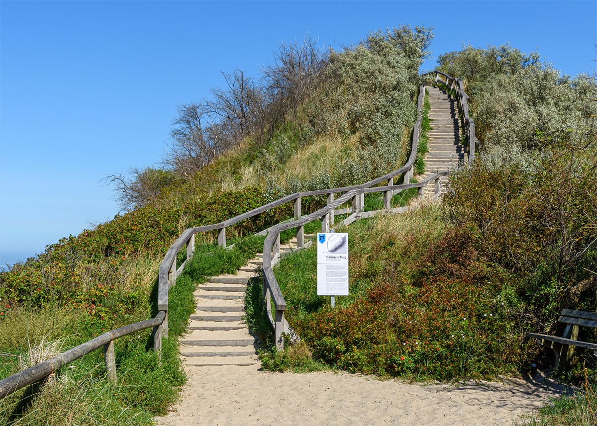 OF2_64900.jpg