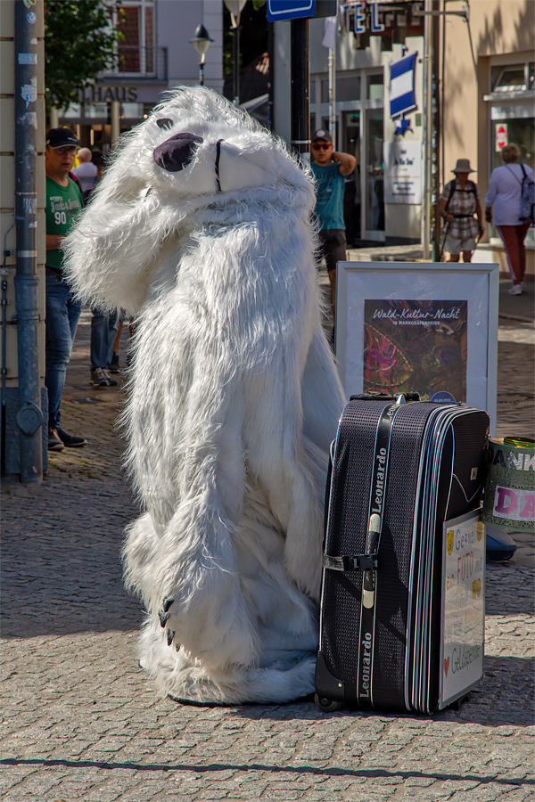 OF2_65406.jpg
