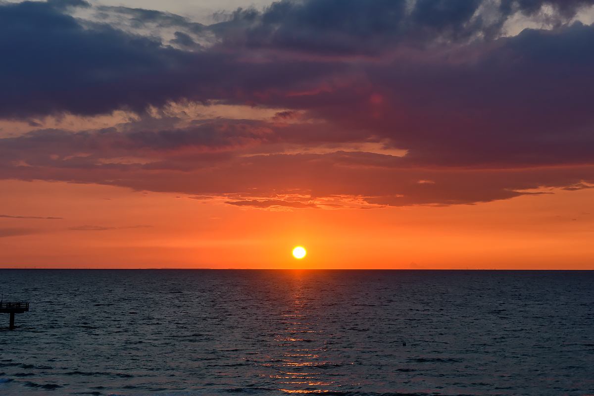 OF2_65759.jpg