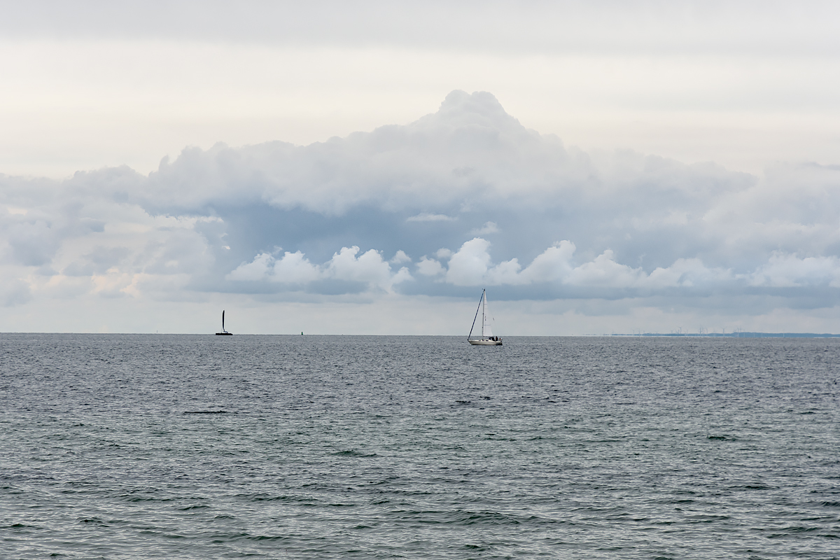 OF2_66009.jpg