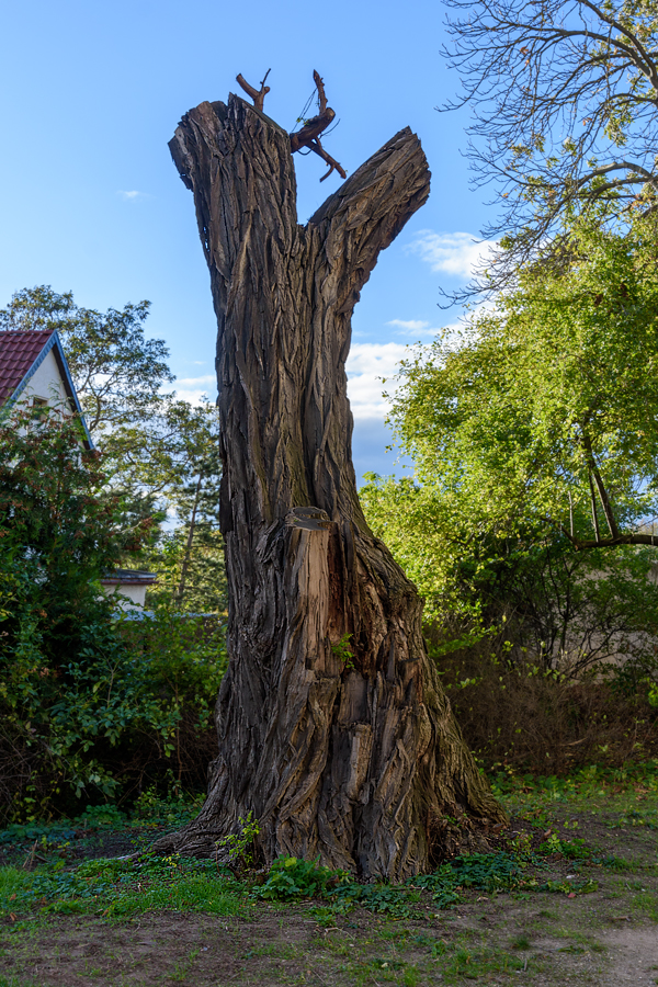 OF2_66780.jpg