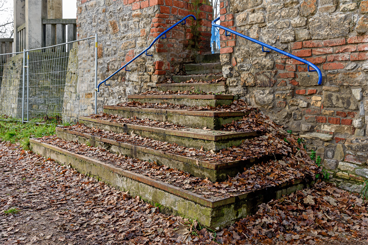 OF2_67031.jpg