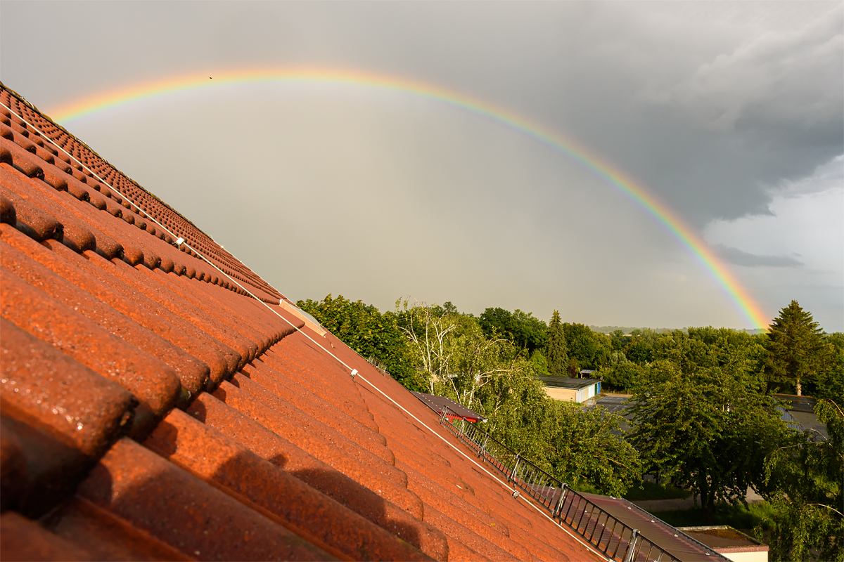 OF2_69082.jpg