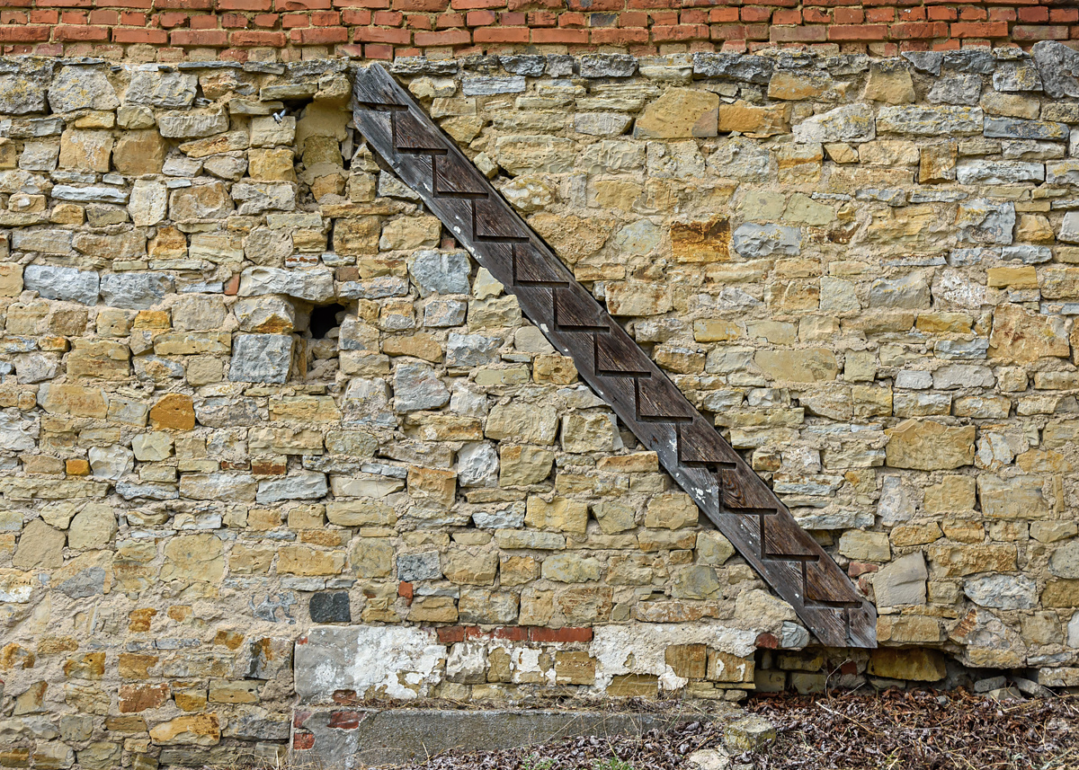 OF2_69458.jpg