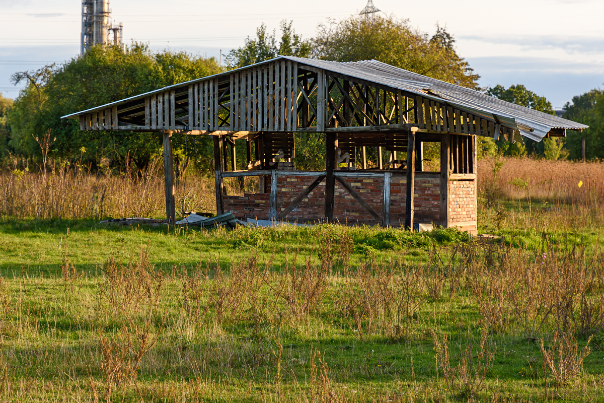 OF2_70325.jpg