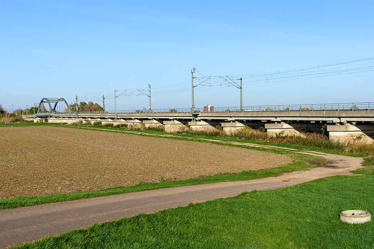 OF2_70985.jpg