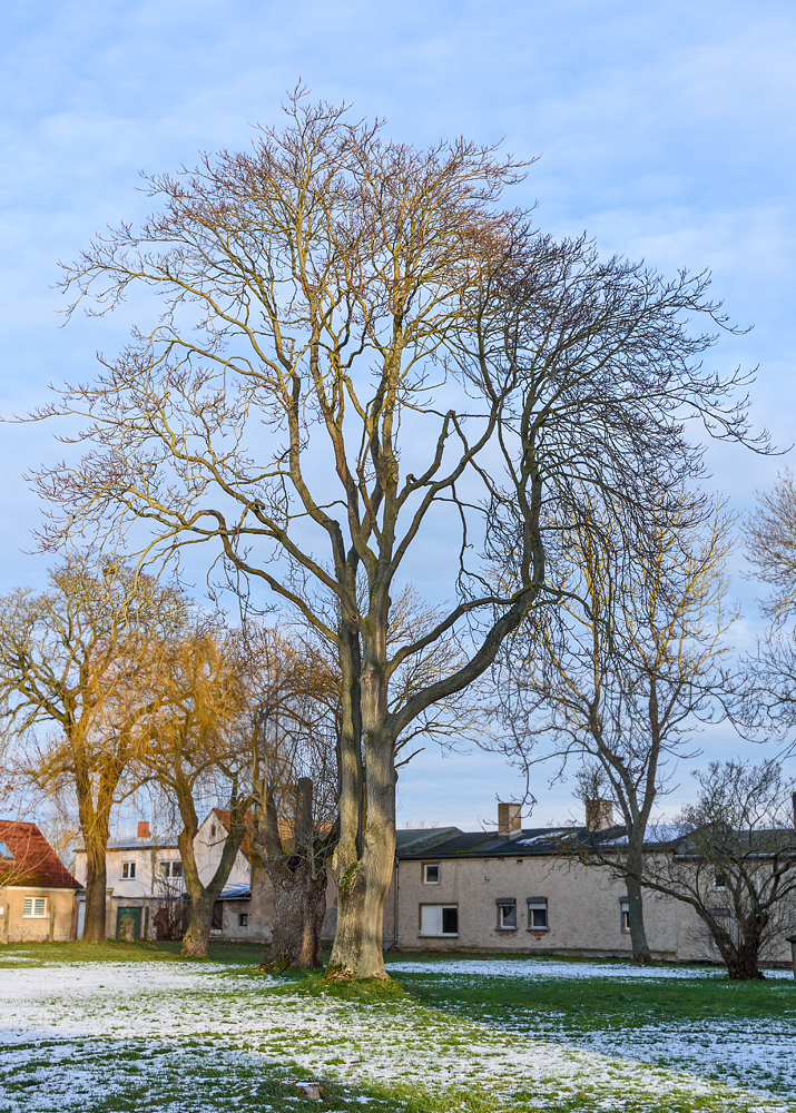 OF2_71785.jpg