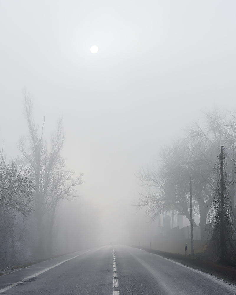OF2_72023.jpg