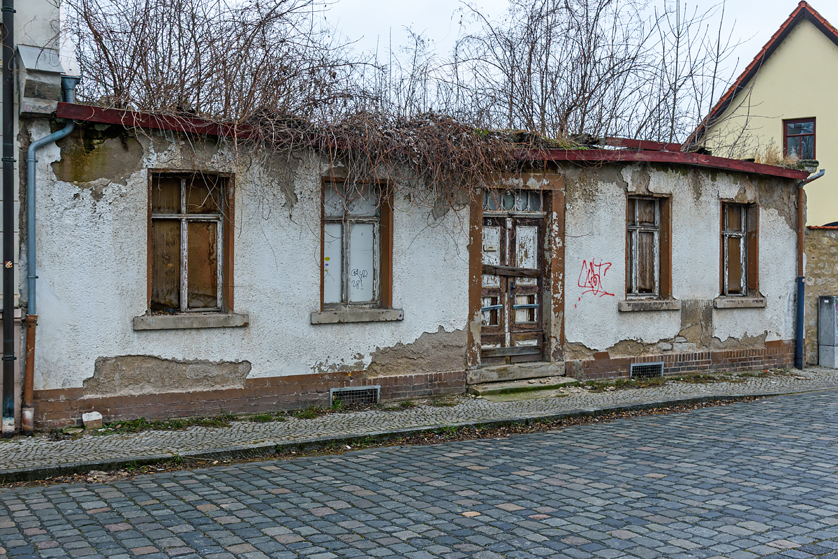 OF2_72570.jpg