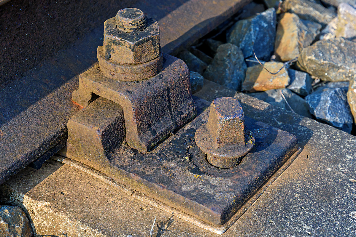 OF2_73146.jpg