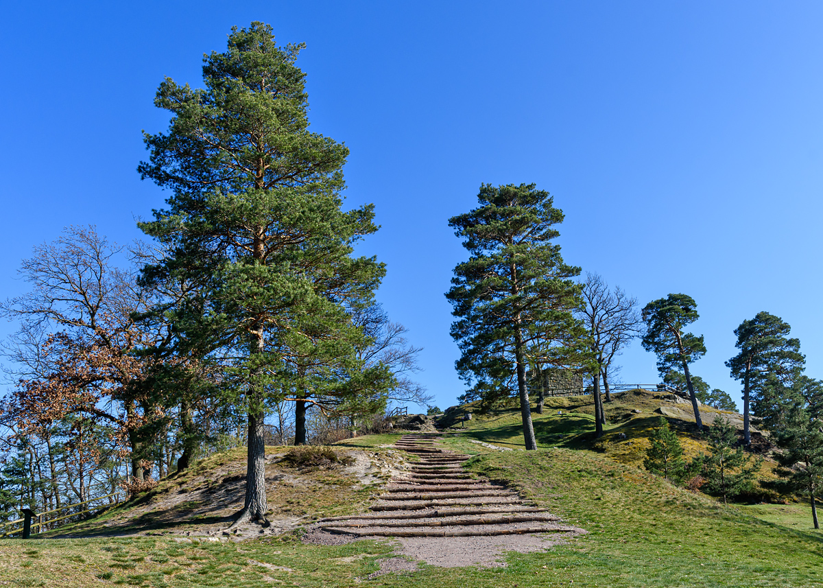 OF2_73600.jpg
