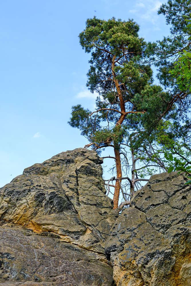 OF2_73939.jpg
