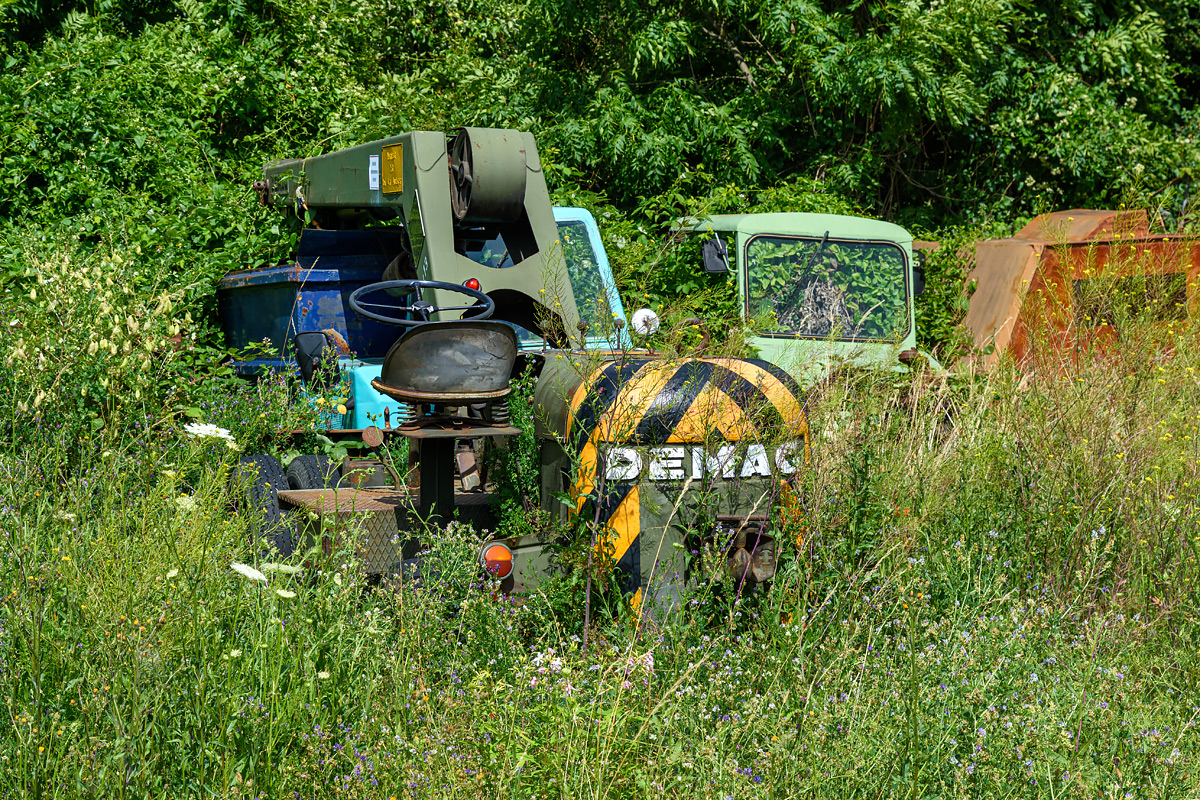 OF2_74705.jpg