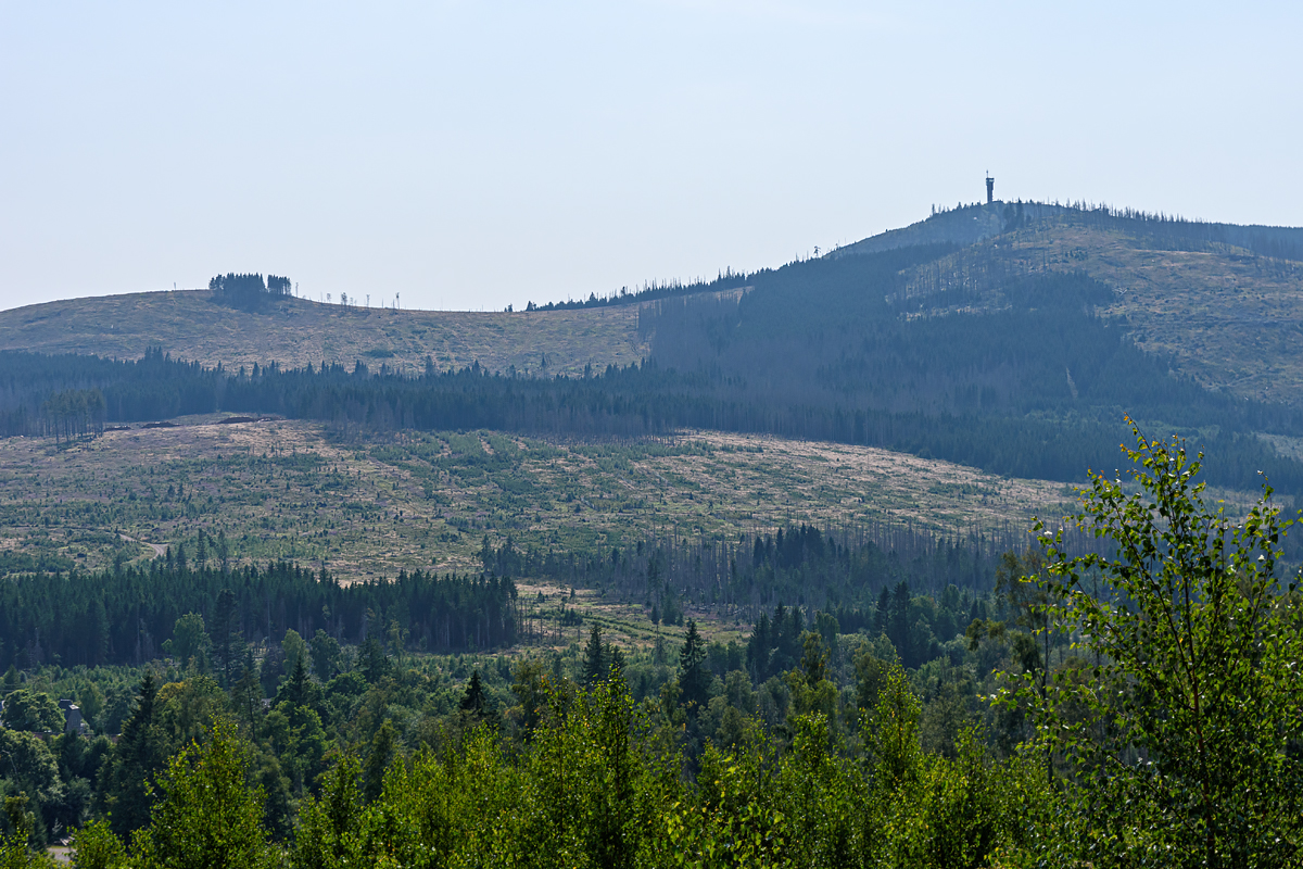 OF2_75007.jpg