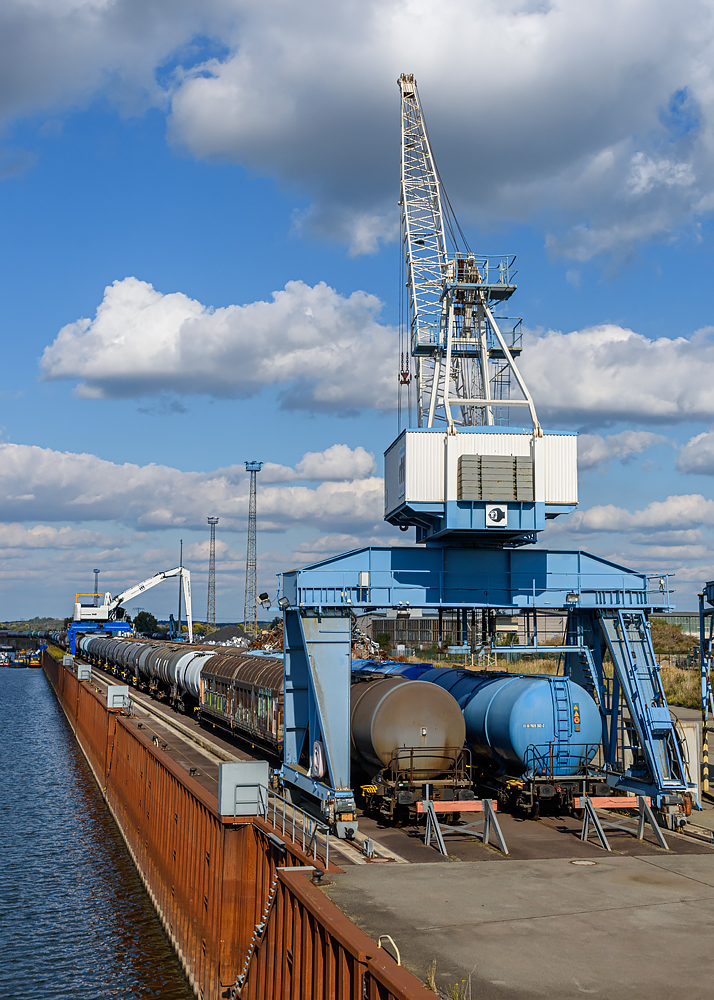 OF2_75530.jpg