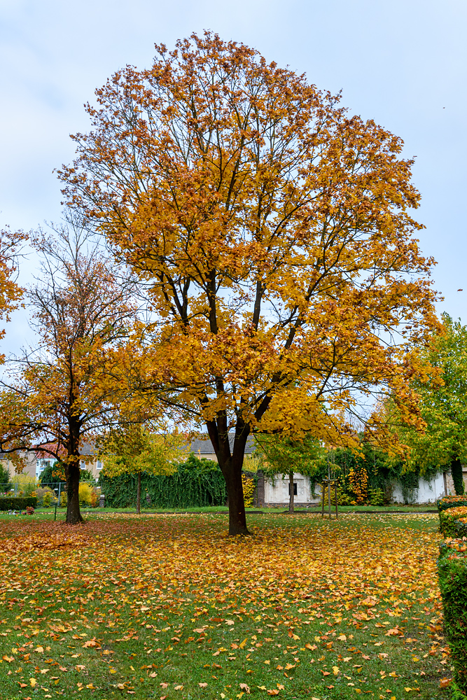 OF2_75794.jpg