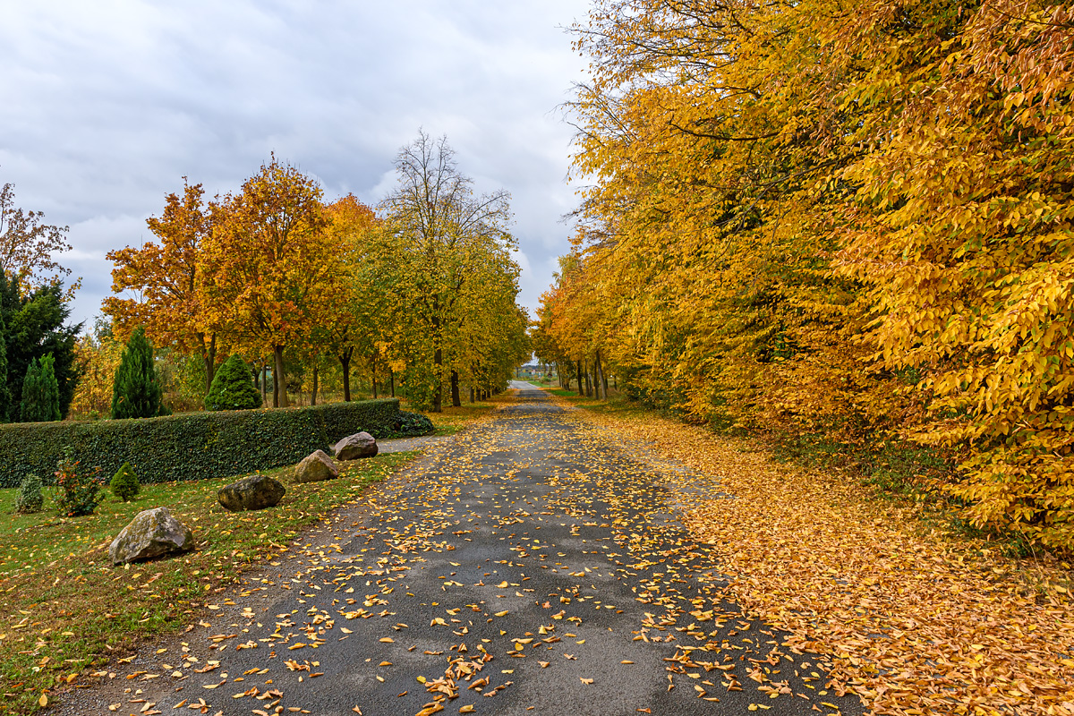 OF2_75809.jpg