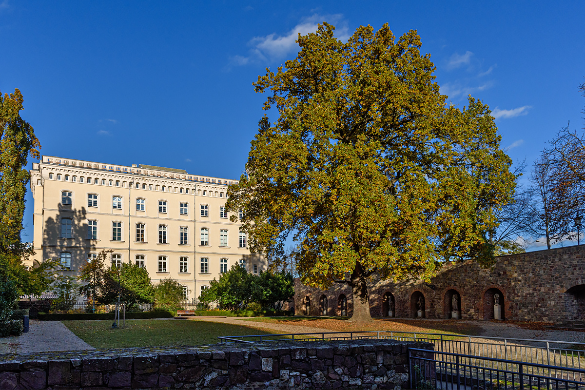 OF2_76070.jpg