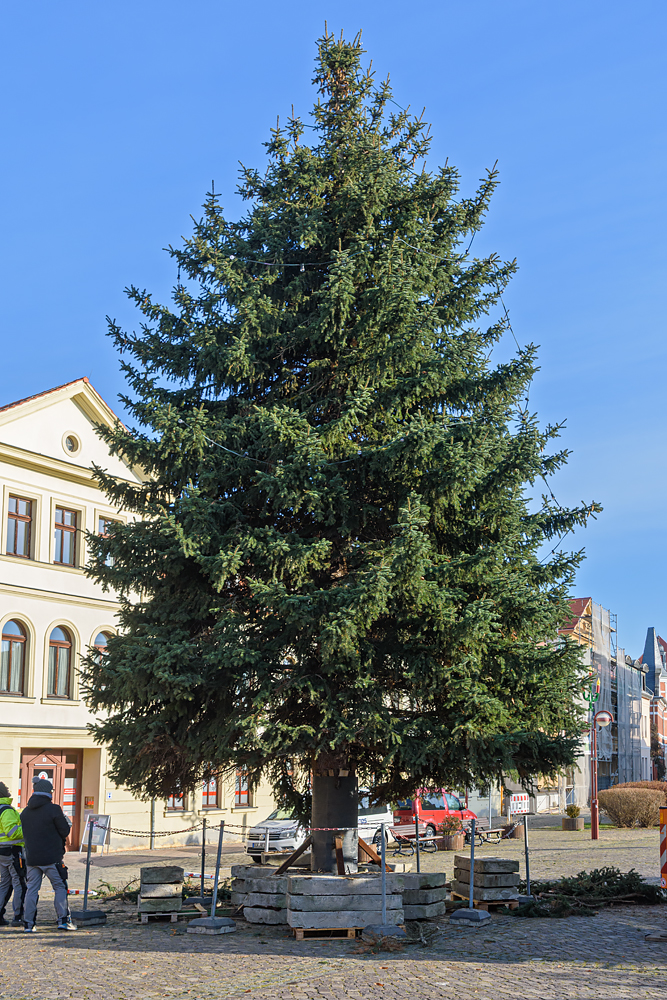 OF2_76494.jpg