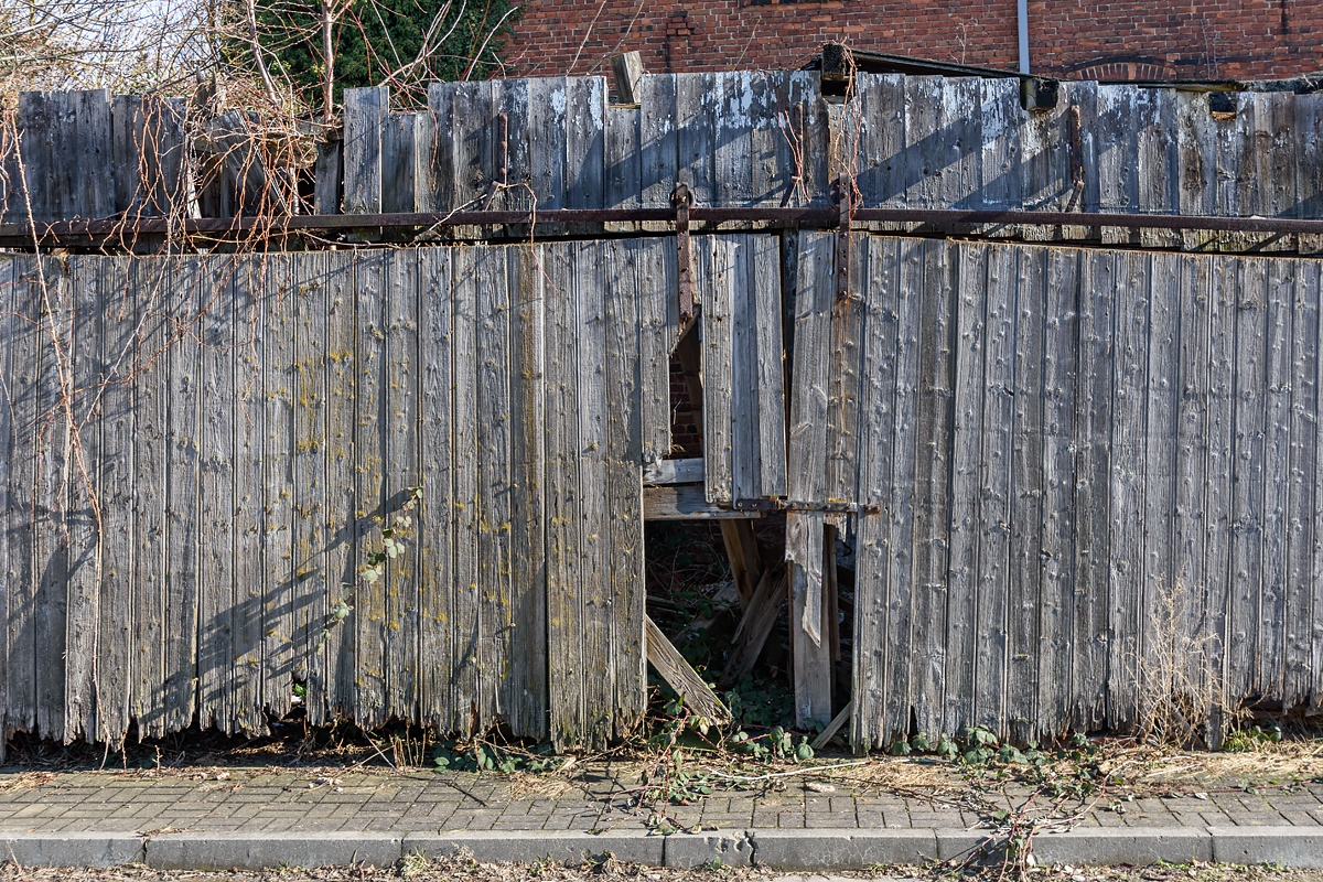 OF2_76967.jpg