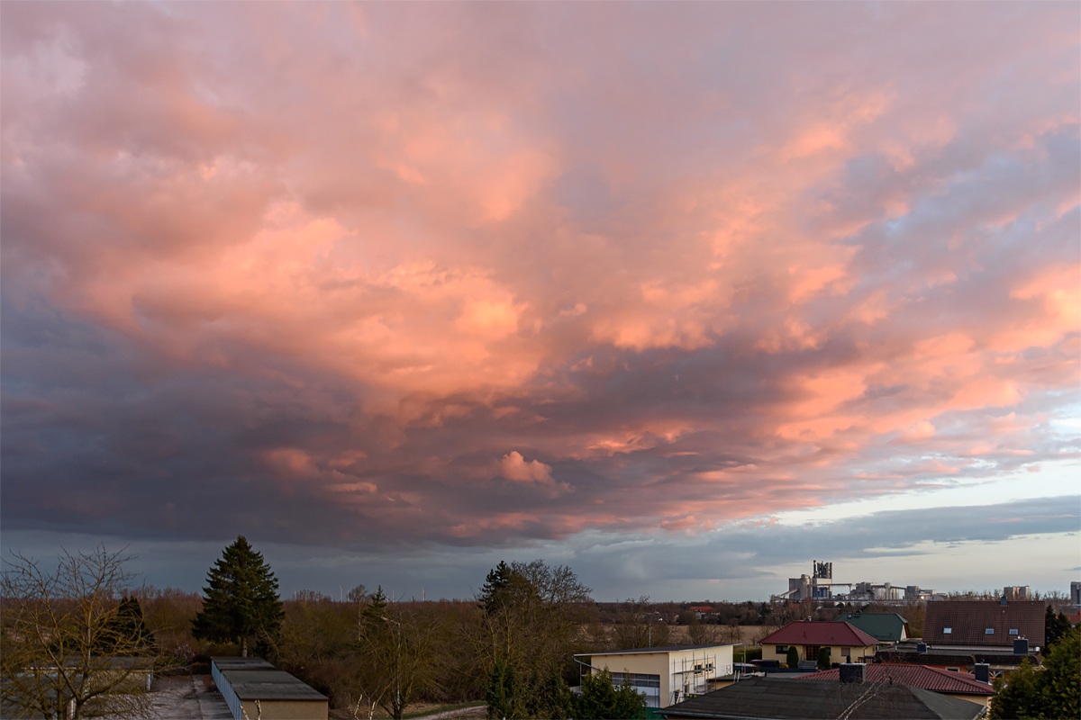 OF2_77096.jpg