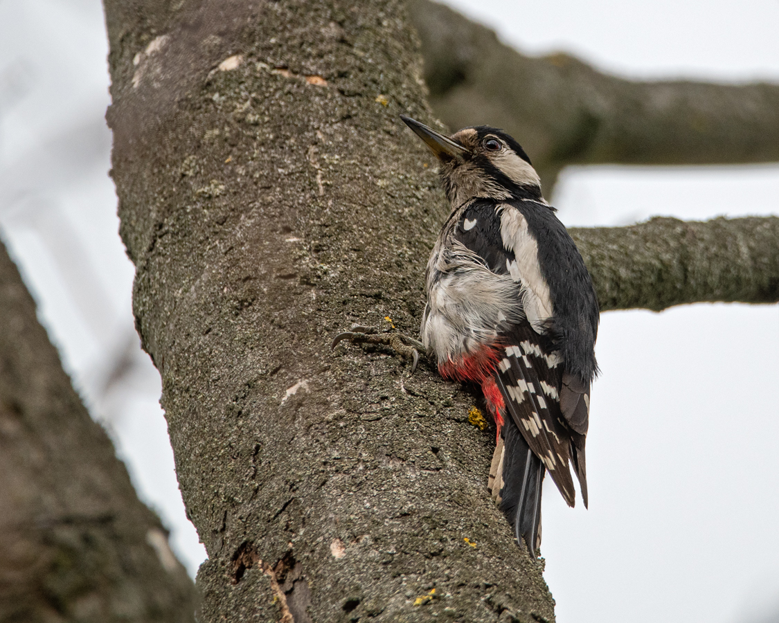 OF5_00905.jpg