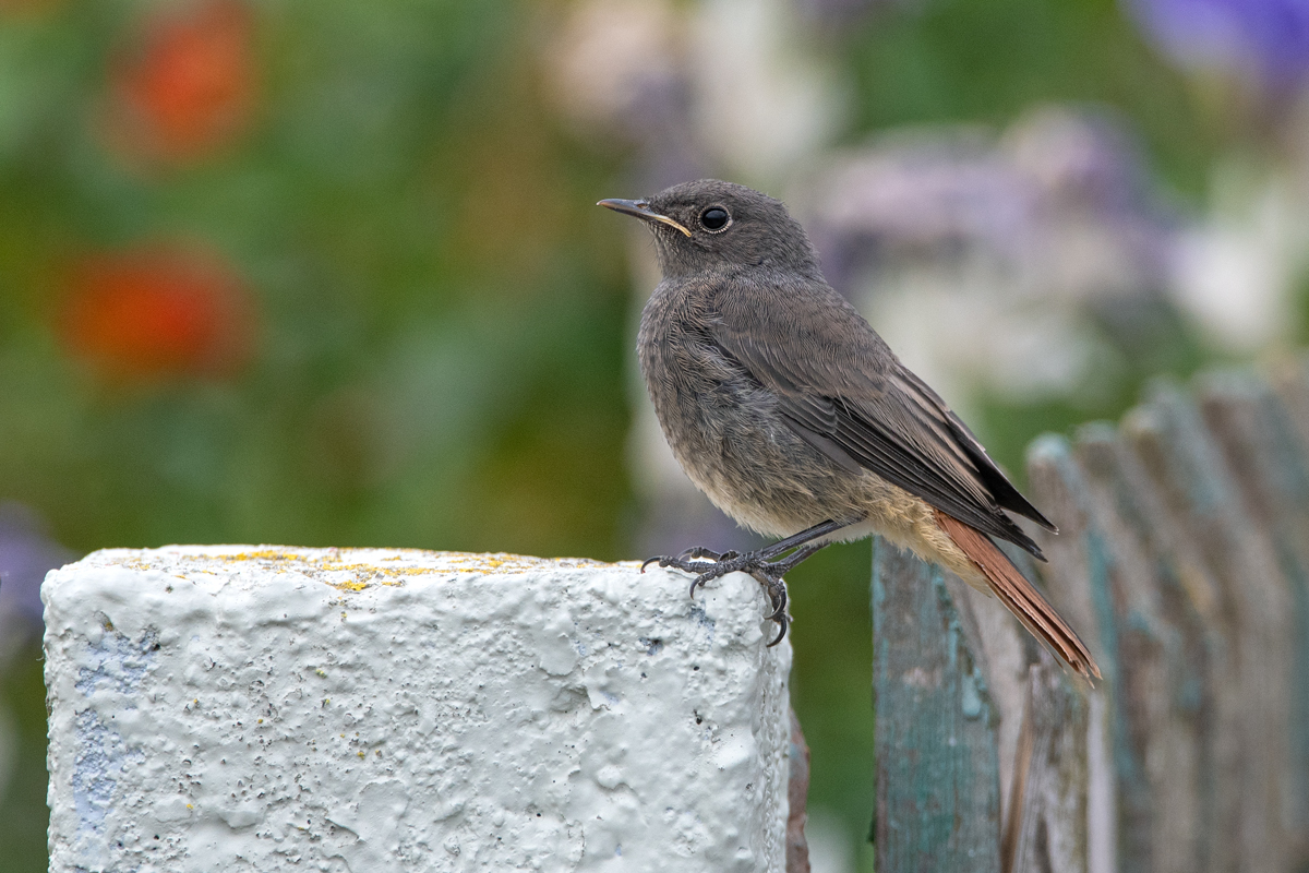 OF5_01435.jpg