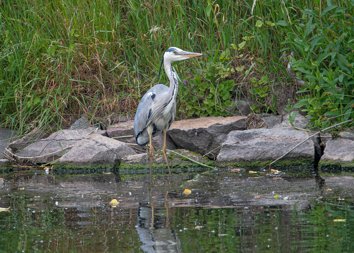 OF5_01850.jpg