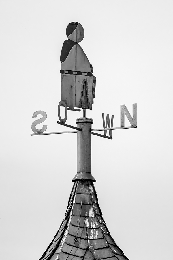 OF5_02246sw.jpg