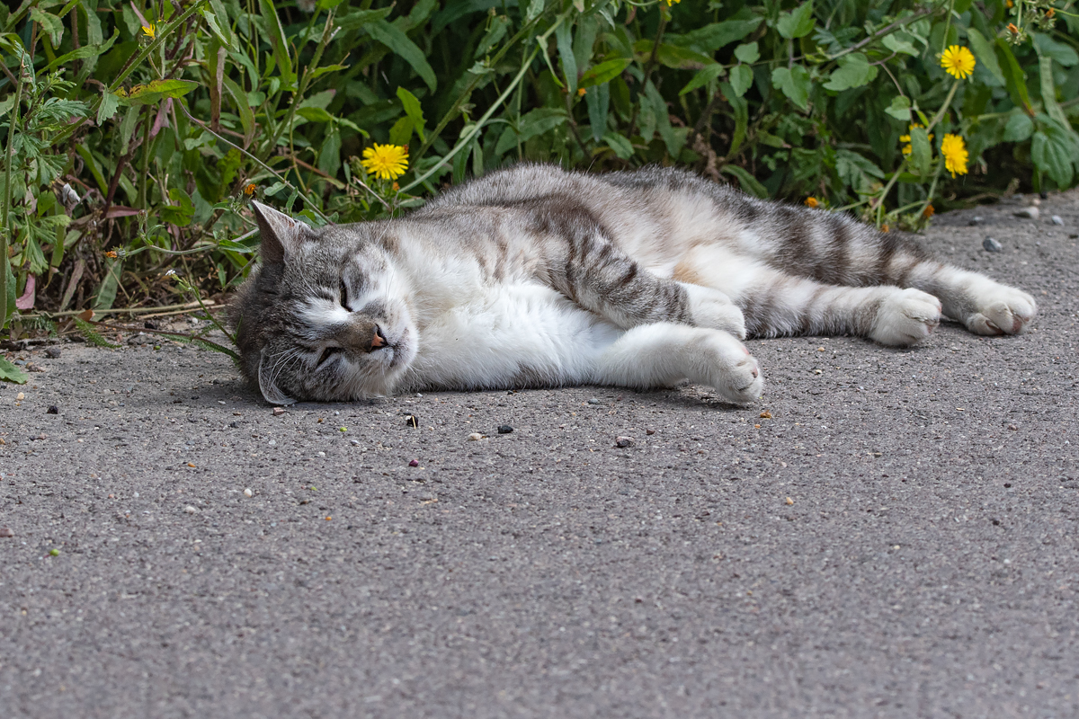 OF5_03015.jpg