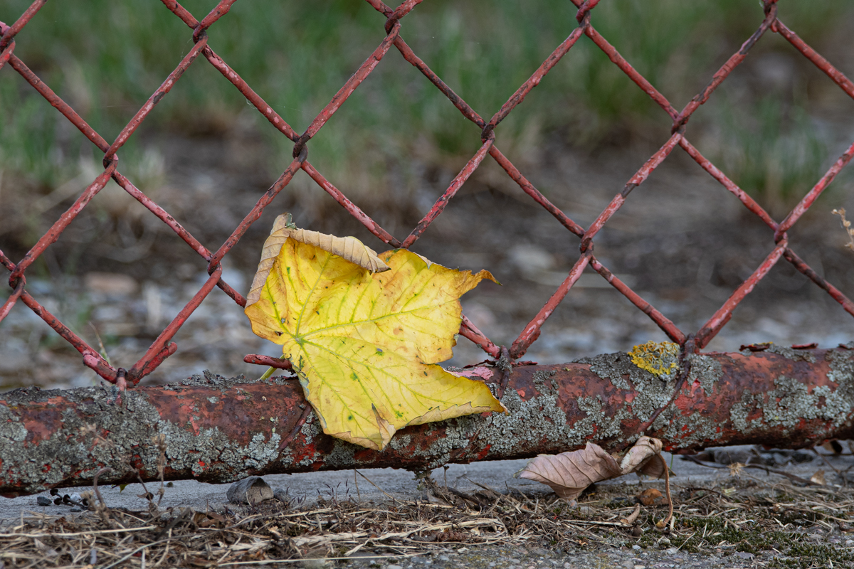 OF5_03534.jpg