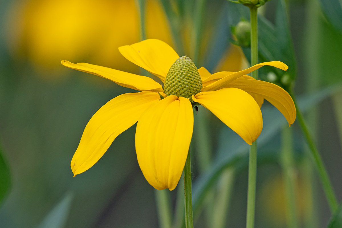 OF5_03554.jpg