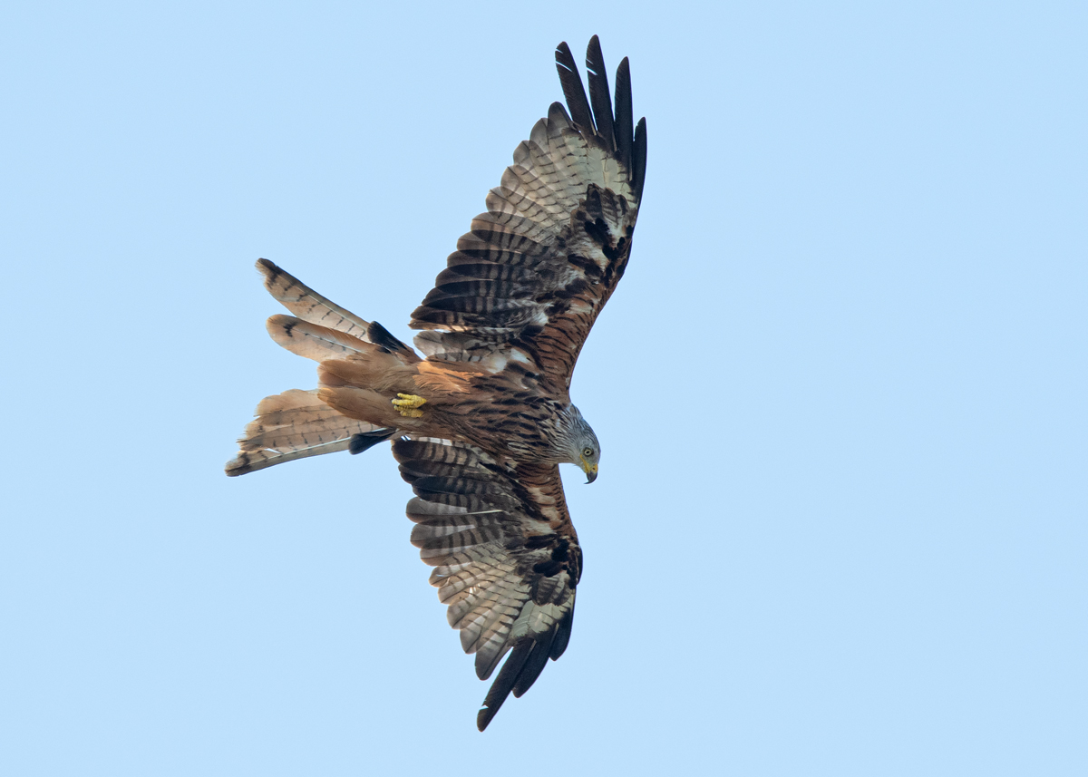 OF5_03900.jpg