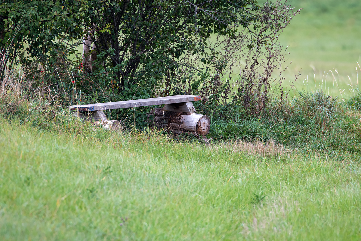 OF5_05079.jpg