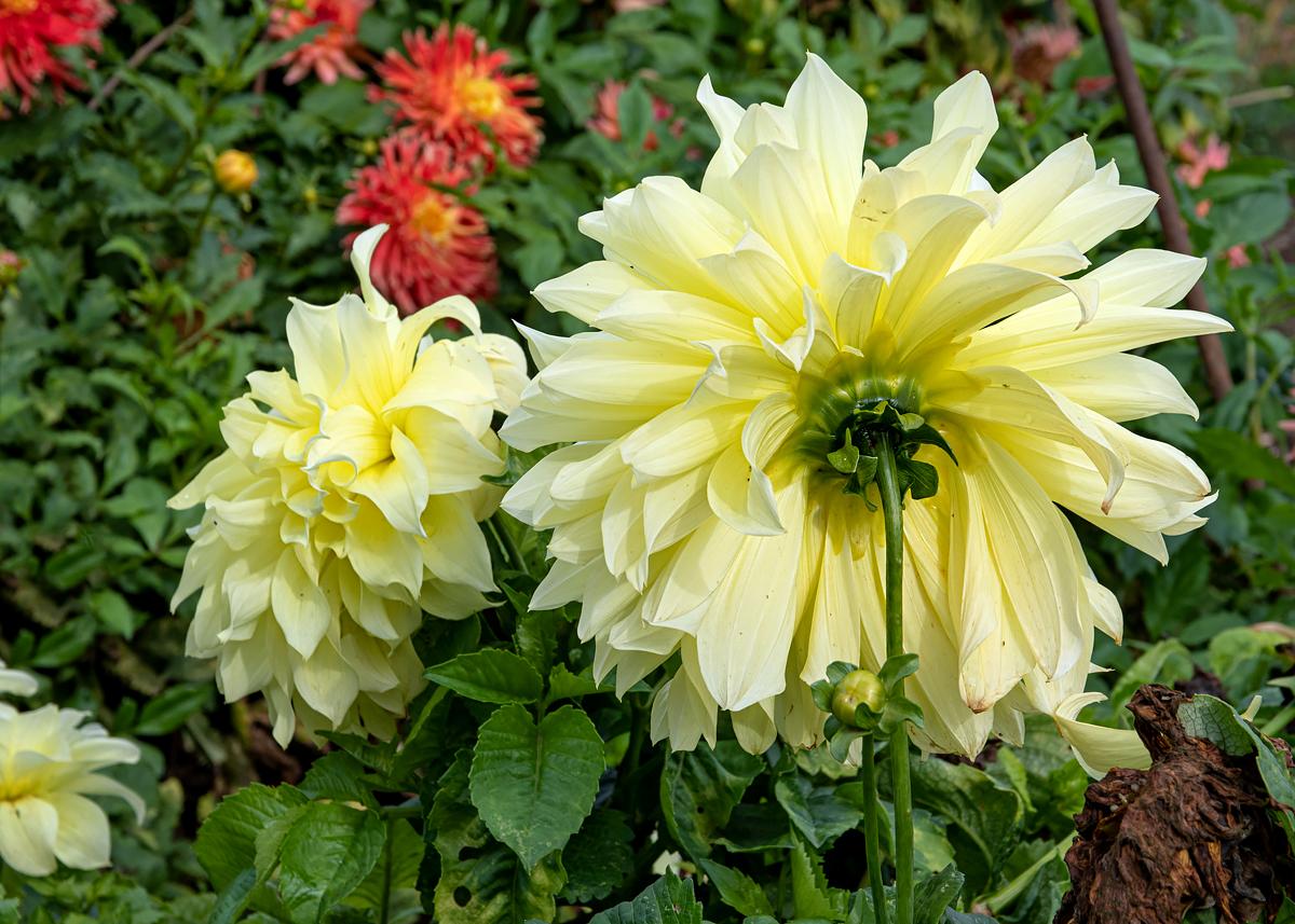 OF5_05129.jpg