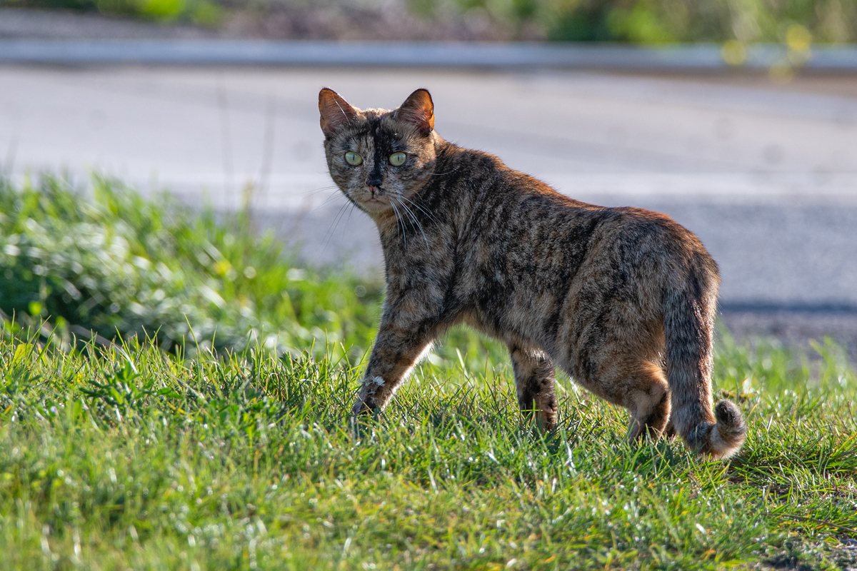 OF5_05137.jpg