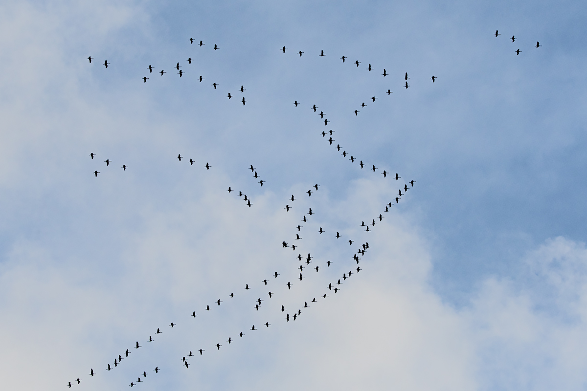 OF5_05236.jpg