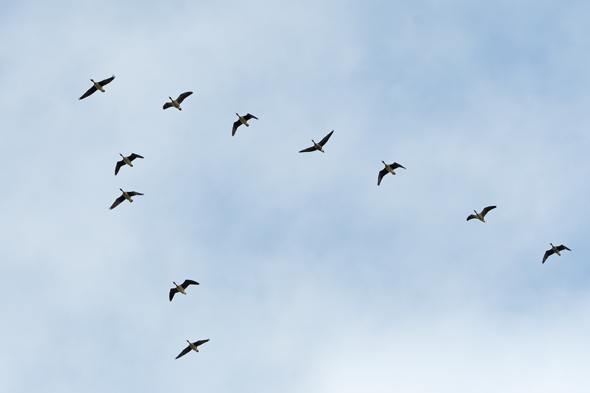 OF5_05295.jpg