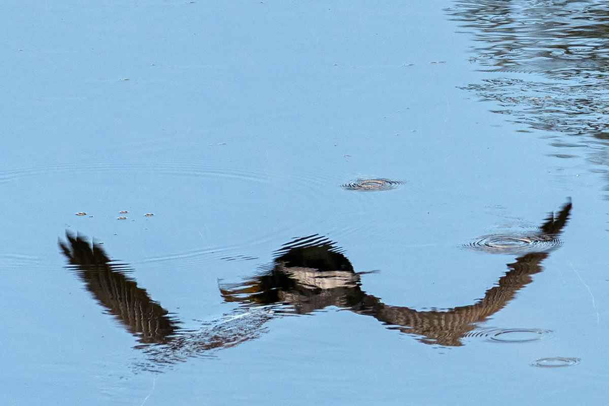 OF5_0537.jpg