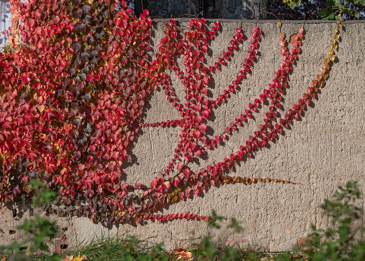 OF5_05717.jpg
