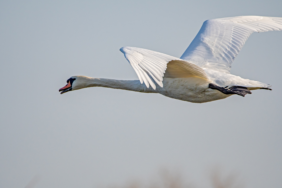 OF5_05909.jpg