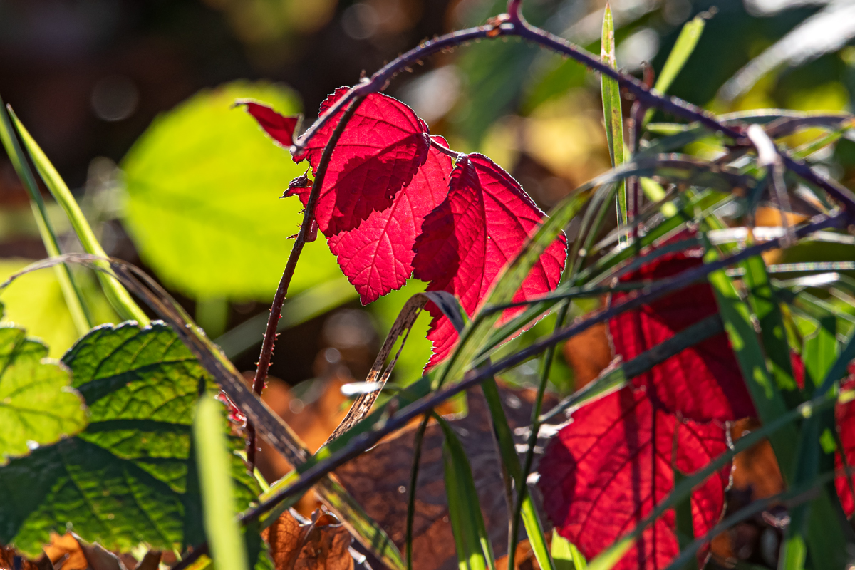 OF5_06051.jpg