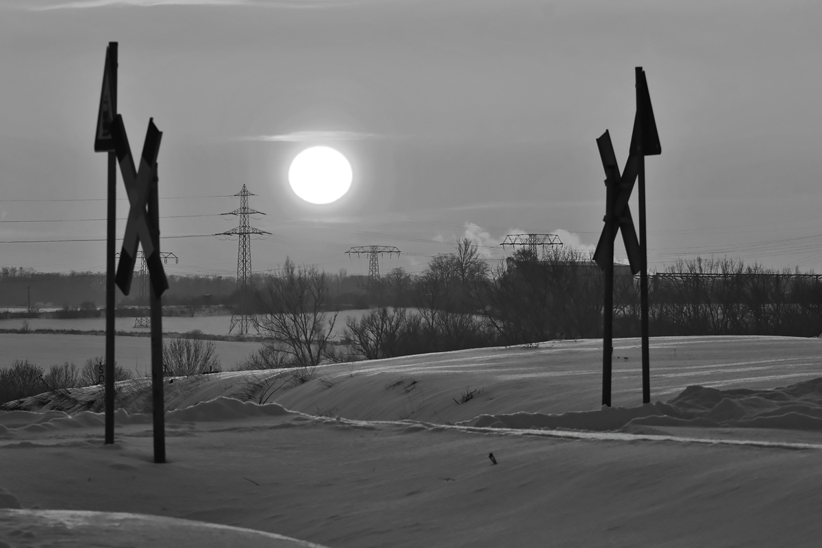 OF5_08124sw.jpg