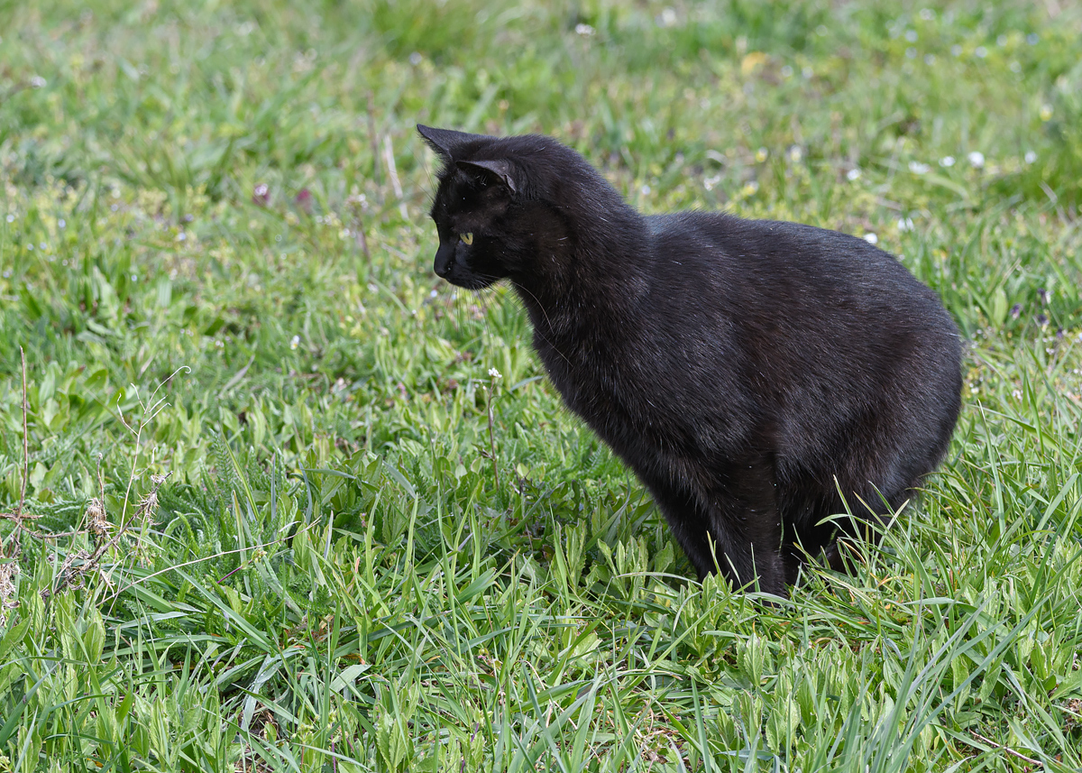 OF5_09878.jpg