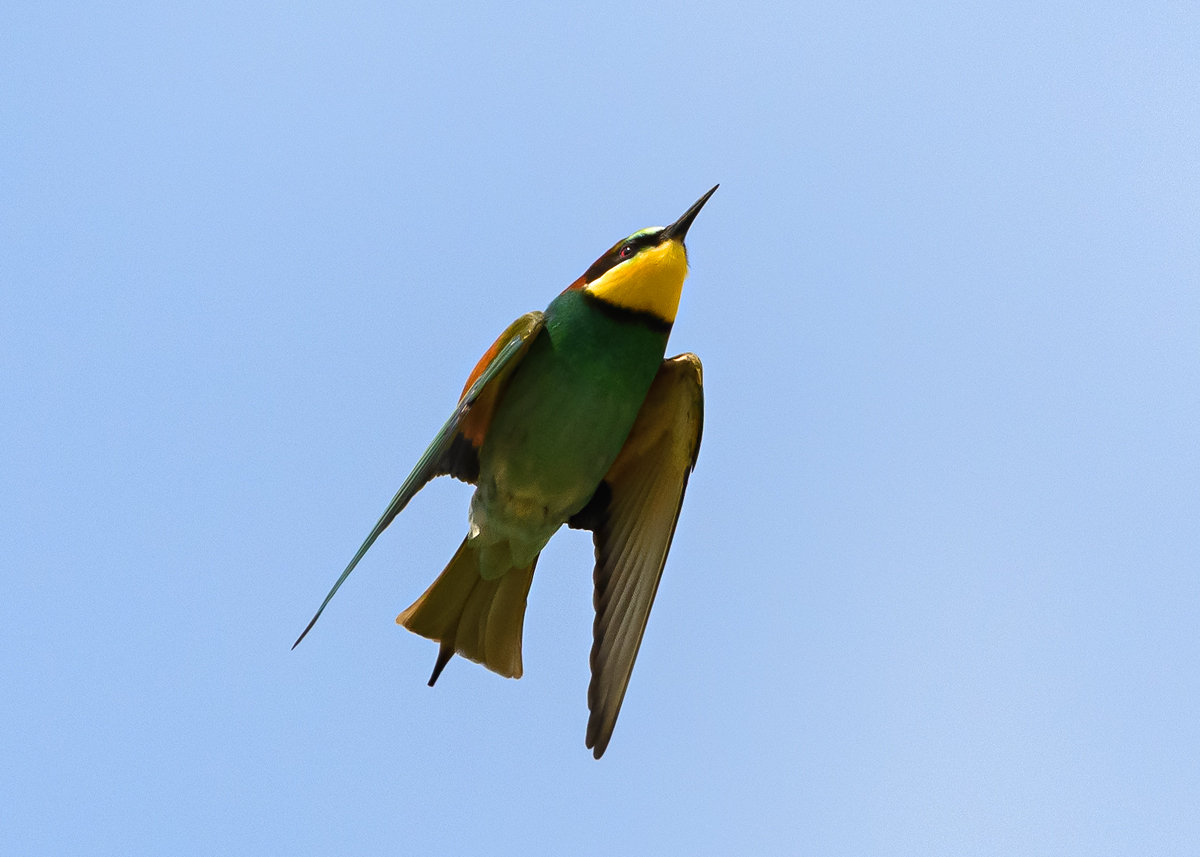 OF5_11428.jpg