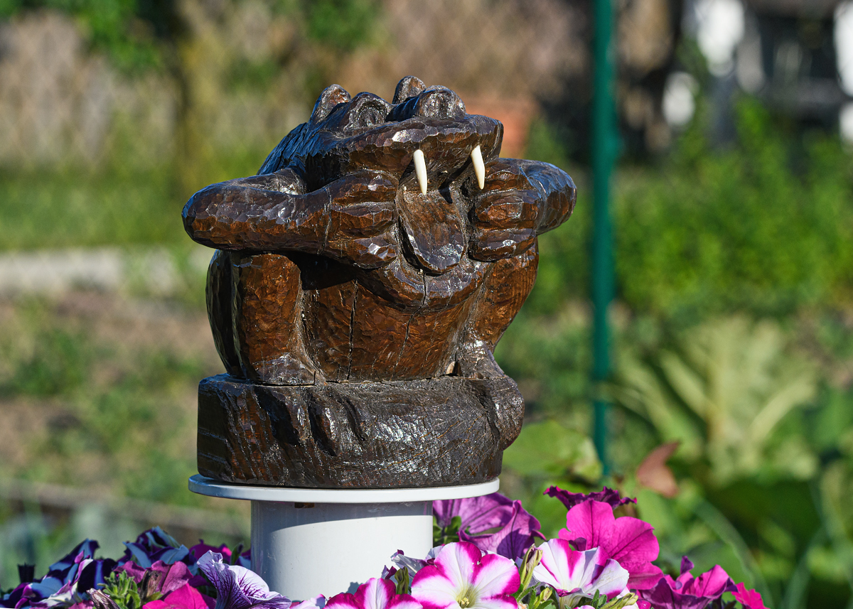 OF5_12782.jpg